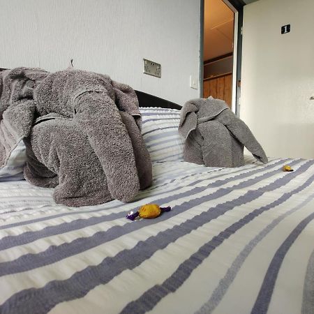 マンチェスターDan'S Houseアパートメント エクステリア 写真